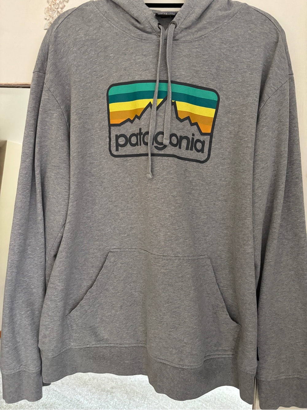 Patagonia Men's Line Logo Badge Lightweight Hoody Size Large - Picture 3 of 6